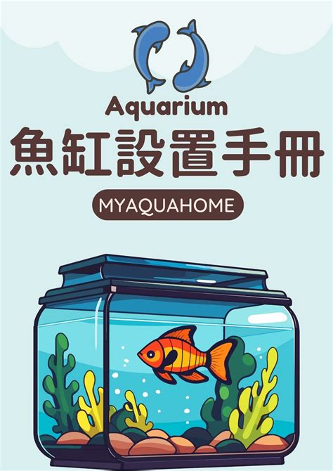 飼料魚是什麼魚|養魚新手入門：12個教學讓你養魚一次上手（新手必讀）